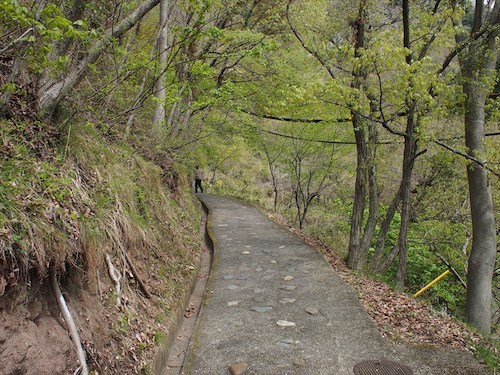 hkkt-yamanashi-iwadono3.jpg